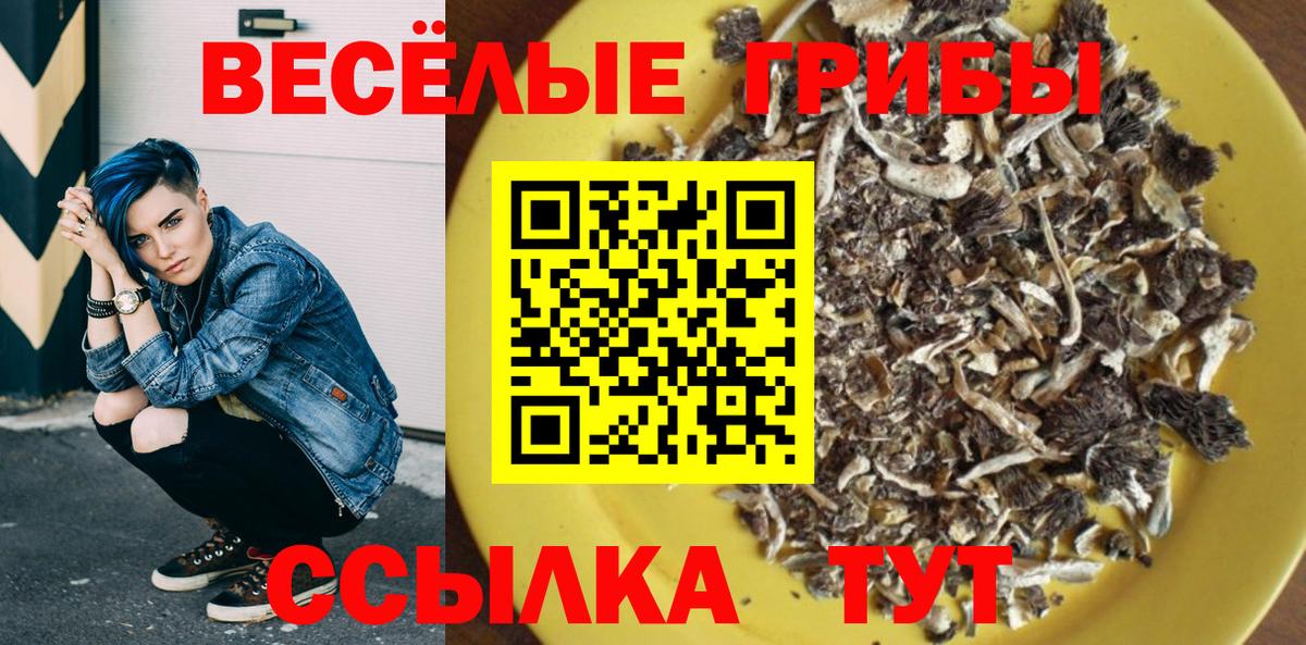 Галлюциногенные грибы Magic Shrooms  Вход с VPN  купить наркотики сайты  Псилоцибиновые грибы Cubensis  Клин 