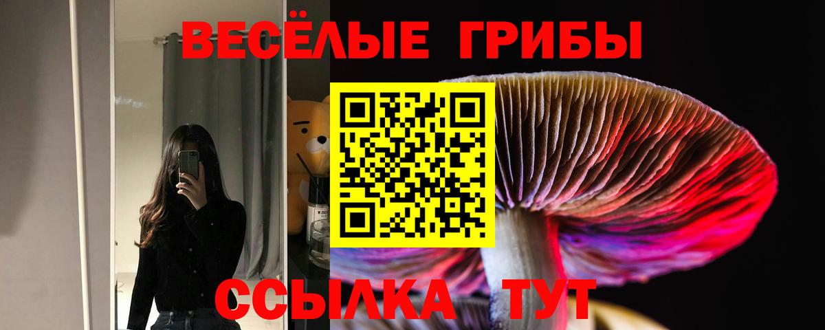 Псилоцибиновые грибы MAGIC MUSHROOMS Клин